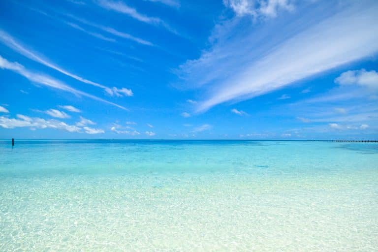 Clear Blue Shore